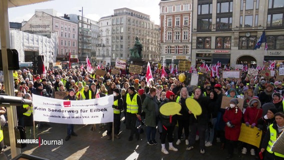 Demonstrierende vor dem Hamburger Rathaus. © Screenshot 