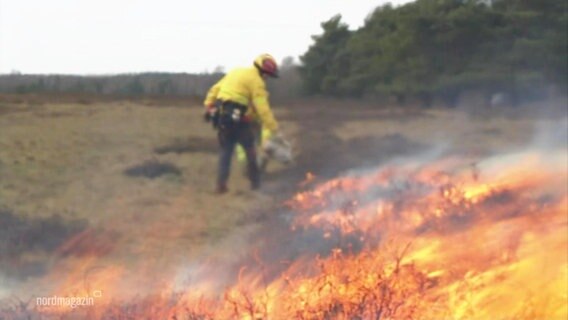 Ein Mitglied der Feuerwehr bei einem kontrollierten Abbrennen einer Heidefläche © Screenshot 