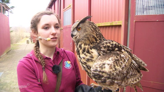 Tierpfelgerin Sabrina Jung mit Uhu Symphonie. © Screenshot 