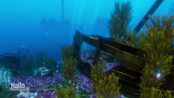 Eine Computer-animierte Unterwasserwelt © Screenshot 