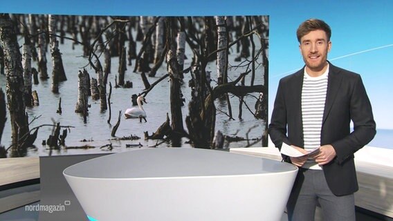Stefan Leyh moderiert das Nordamagazin - Land und Leute. © Screenshot 