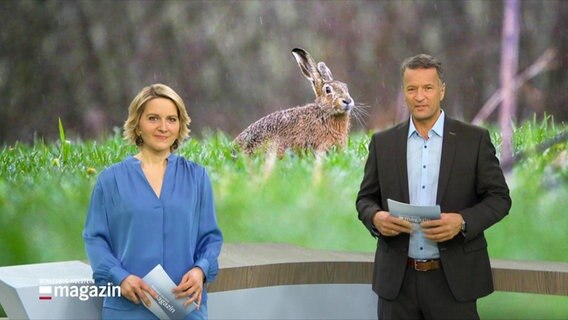 Marie-Luise Bram und Gerrit Derkowski moderieren das Schleswig-Holstein Magazin. © Screenshot 