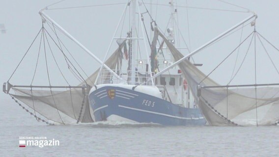 Ein Fischkutter mit Schleppnetzen bei nebligem Wetter. © Screenshot 