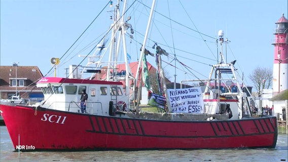 Ein Krabbenkutter mit Protestplakat im Büsumer Hafen. © Screenshot 