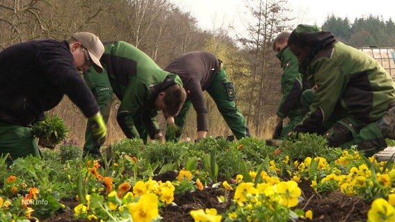 Mitarbeitende der Landesgartenschau beginnen mit dem Bepflanzen des Geländes. © Screenshot 