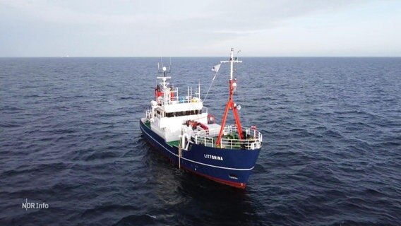 Ein Schiff auf der Ostsee. © Screenshot 