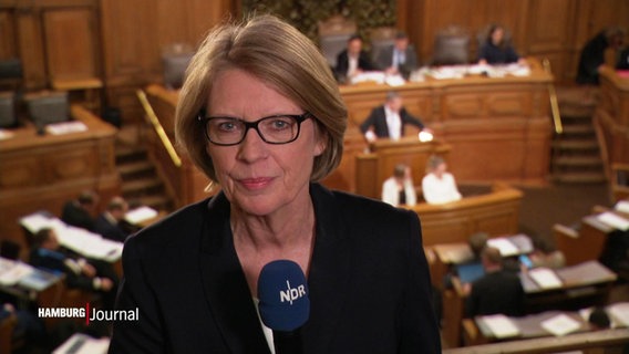 Reporterin Sylvia Burian berichtet vor der Hamburger Bürgerschaftsversammlung. © Screenshot 