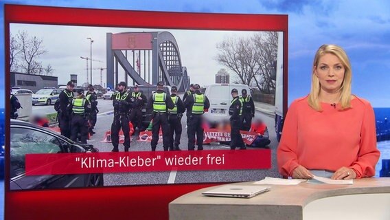 Dina Hille, Hamburg Journal, spricht im NDR Fernsehen die Nachrichten. © Screenshot 