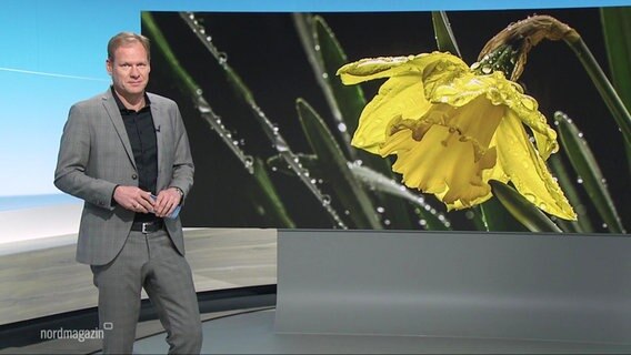 Moderator Thilo Tautz im Studio © Screenshot 