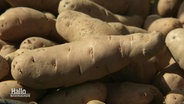 Kartoffeln der Sorte "Angeliter Tannenzapfen". © Screenshot 