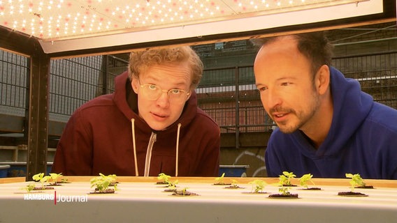 Zwei Männer betrachten kleine Pflanzen im vertikalen Gewächshaus. © Screenshot 