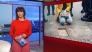 Theresa Pöhls moderiert die Frühausgabe Hamburg Journal. Im Hintergrund ist ein Foto einer Klimaaktivistin der Gruppe "Die Letzte Generation", die sich ihre Hand an eine Straße geklebt hat zu sehen. © Screenshot 