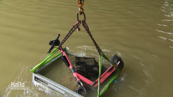 Ein Kran hebt einen E-Scooter auf einer Tragefläche aus einem trüben Kanal herauf. © Screenshot 