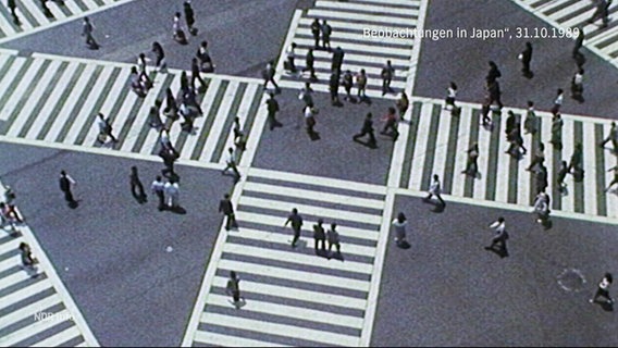 Blick aus der Vogelperspektive auf eine "Diagonalkreuzung": Neben den parallel zu den Straßenzügen verlaufenden Fußgängerquerungen sind weitere, diagnoal durch die Kreuzung laufende Wege markiert. © Screenshot 
