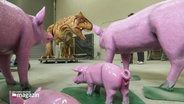 Lackierte Schweine und Dinosaurier in einer Halle. © Screenshot 