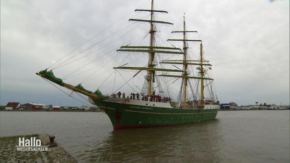 Ein großer Dreimaster mit grün angestrichenem Rumpf fährt in einen Hafen ein. © Screenshot 