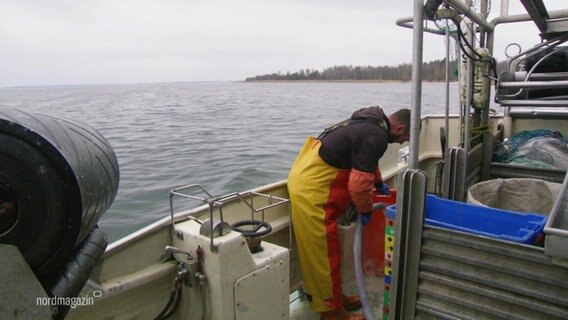 Fischfang auf der Ostsee. © Screenshot 