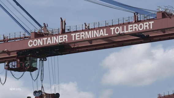 Container-Terminal Tollerort steht auf einem Containerkran. © Screenshot 