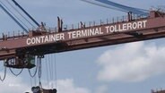 Container-Terminal Tollerort steht auf einem Containerkran. © Screenshot 