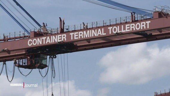 Container-Terminal Tollerort steht auf einem Containerkran geschrieben. © Screenshot 
