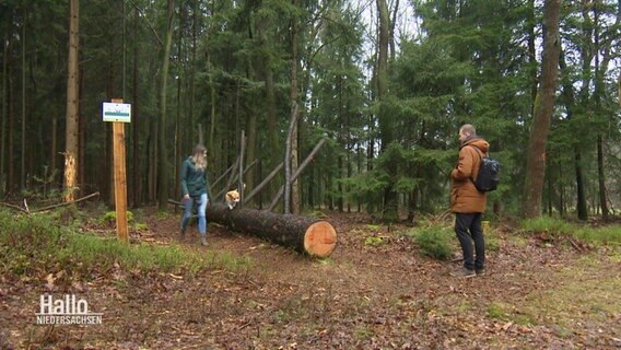 Ein Hund balanciert im Wald auf einem Baumstamm. © Screenshot 