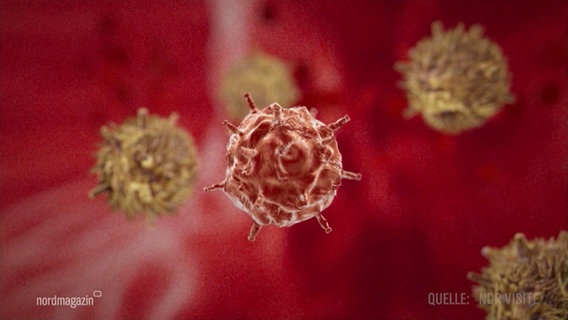 Eine grafische darstellung von Krebszellen im Blut © Screenshot 