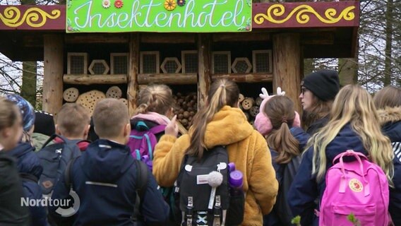 In einem Wald stehen mehrere Schülerinnen und Schüler vor einer größeren Wand mit einem Insektenhotel und hören einem Vortrag zu. © Screenshot 