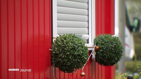 Begrünung an der Außenwand eines rot lackierten Containers. © Screenshot 