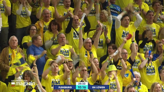 Handballfans in einem Stadion. © Screenshot 