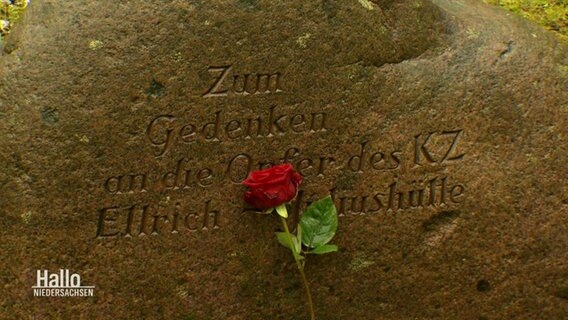 Gedenkstein für die Opfer des KZ Ellrich-Juliushütte. © Screenshot 
