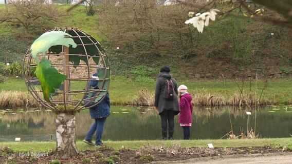 Eine Familie steht an einem Teich im Botanischen Garten in Rostock © Screenshot 
