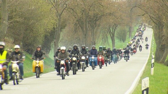 Eine große Gruppe von Mopeds fährt auf einer Landstraße © Screenshot 