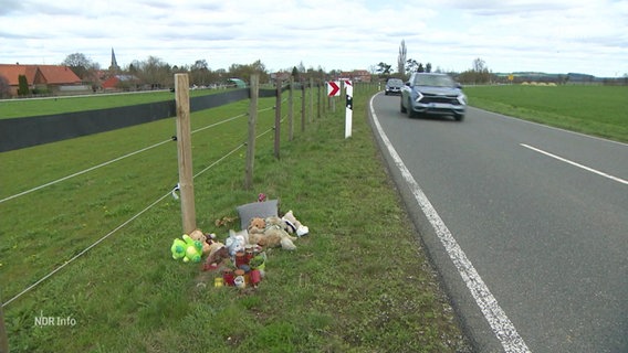 Auf einem Grasstück direkt neben einer Landstraße ist eine Gedenkstätte für Verunfallte errichtet. © Screenshot 