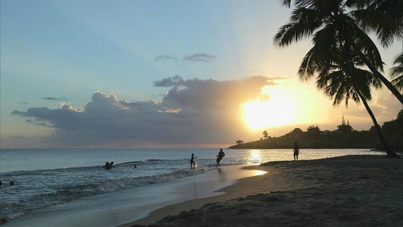 Ein Sonnenuntergang in der Karibik. Menschen laufen über einen Strand, von rechts ragen Palmen in das Bild herein. © Screenshot 