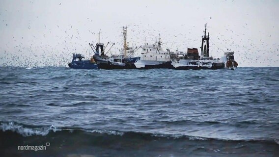 Fischerboote auf der See © Screenshot 