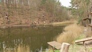 Ein Wasserlauf im Wald, drumherum Holzgerüste © Screenshot 