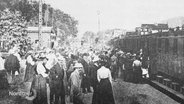 Alte Aufnahmen der Eutin-Lübecker-Eisenbahn. © Screenshot 