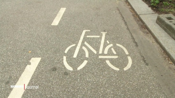 Markierungen auf einem Fahrradweg © Screenshot 