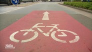 Piktogramme wie dieses sorgen für mehr Sicherheit von Radfahrern im Straßenverkehr. © Screenshot 