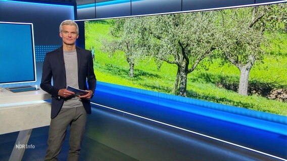 Thorsten Schröder moderiert NDR Inf0 16:00 Uhr. © Screenshot 