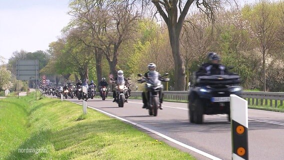 Motorräder und Quads brausen über eine Landstraße. © Screenshot 