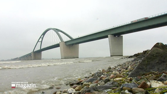 Blick auf die Fehmarnsundbrücke vom Ufer aus. © Screenshot 