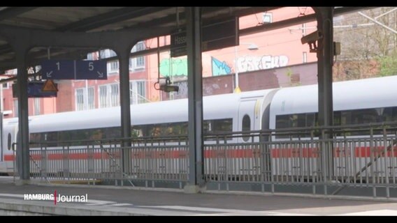 Ein ICE steht an einem kleineren S-Bahn-Bahnhof. © Screenshot 