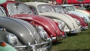 Mehrere verschiedenfarbige VW-Käfer stehen in einer Reihe. © Screenshot 