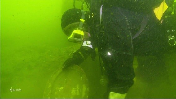 Ein Taucher auf der Suche nach dem Silberschatz in der Kieler Förde © Screenshot 