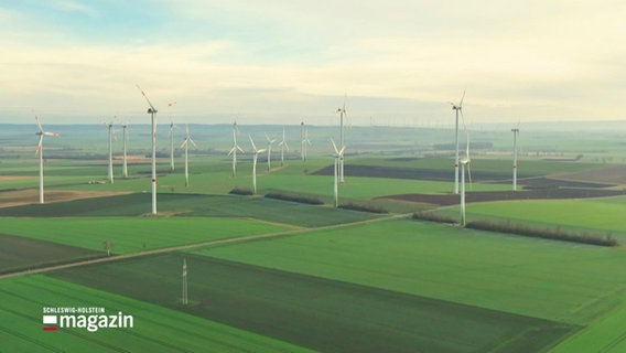 Ein Windpark aus der Luft © Screenshot 