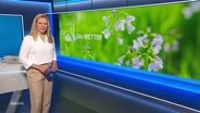 Juliane Möcklinghoff moderiert NDR Info. © Screenshot 