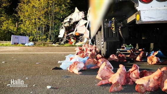 Schweineköpfe liegen auf einer Fahrbahn. © Screenshot 
