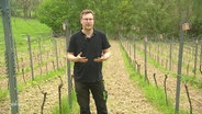 Der Landwirt und Winzer Jan Brinkmann steht auf einem Weinhang. © Screenshot 