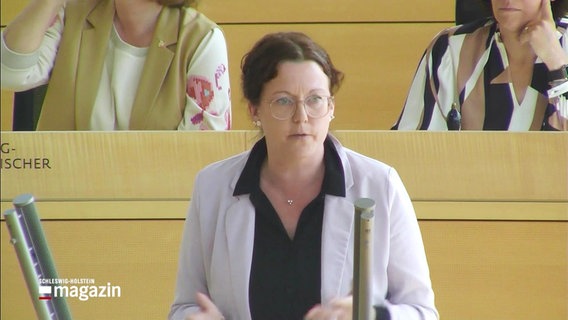 Die Abgeordnete Sybilla Nitsch diskuttiert im Kieler Landtag © Screenshot 